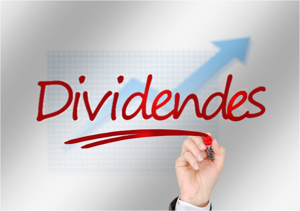 Focus sur les dividendes dans une SARL